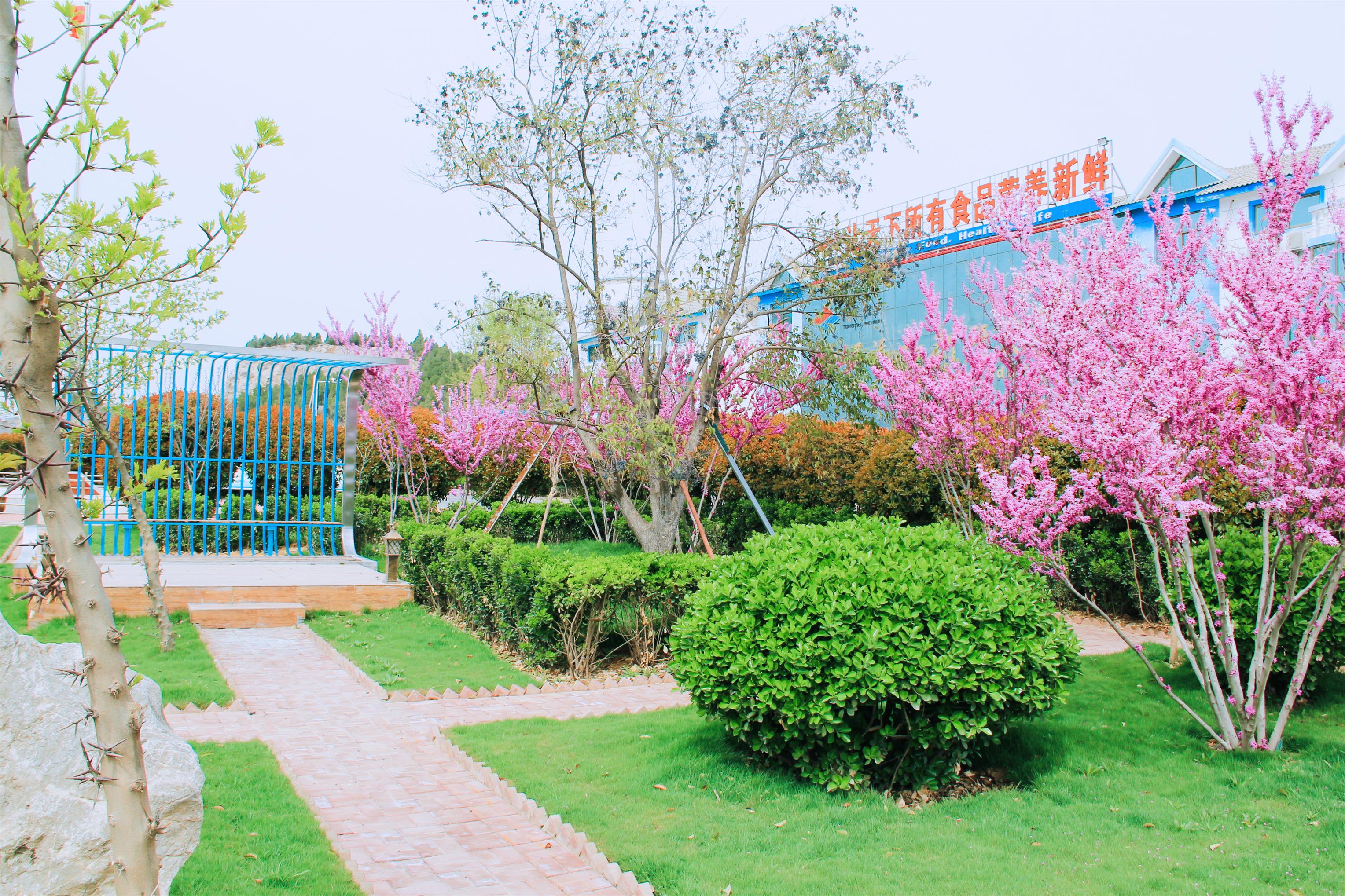 1585709933587584.jpg 1585709933587584.jpg