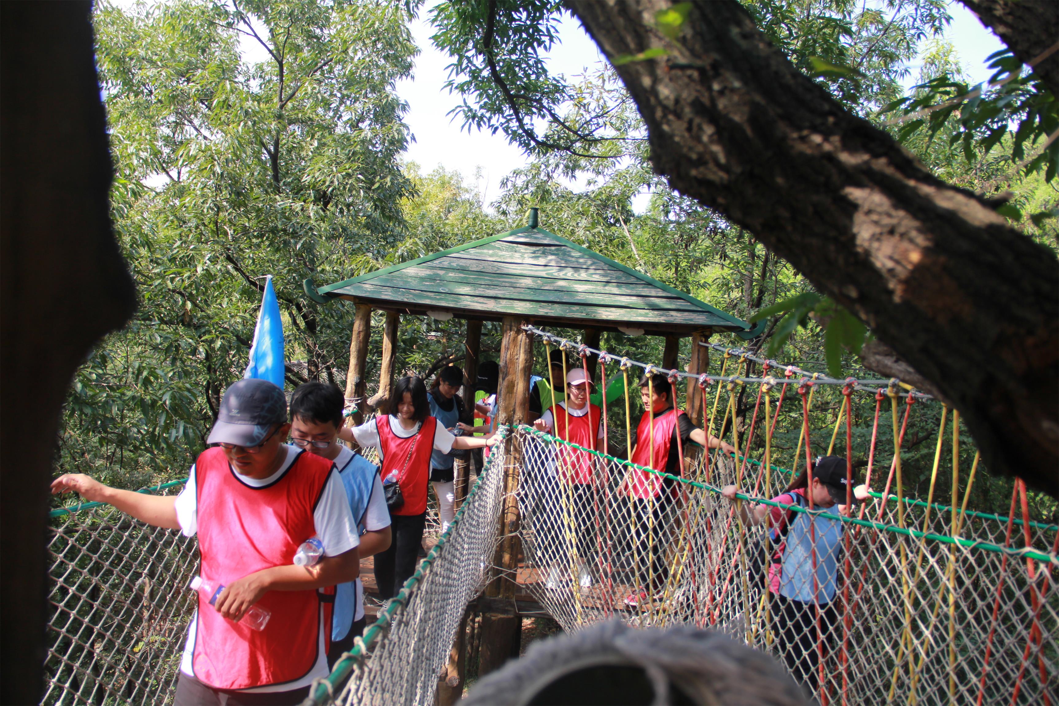 1599702468699075.jpg 1599702468699075.jpg